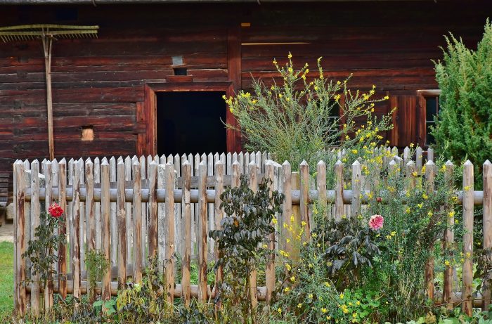 fence in yard