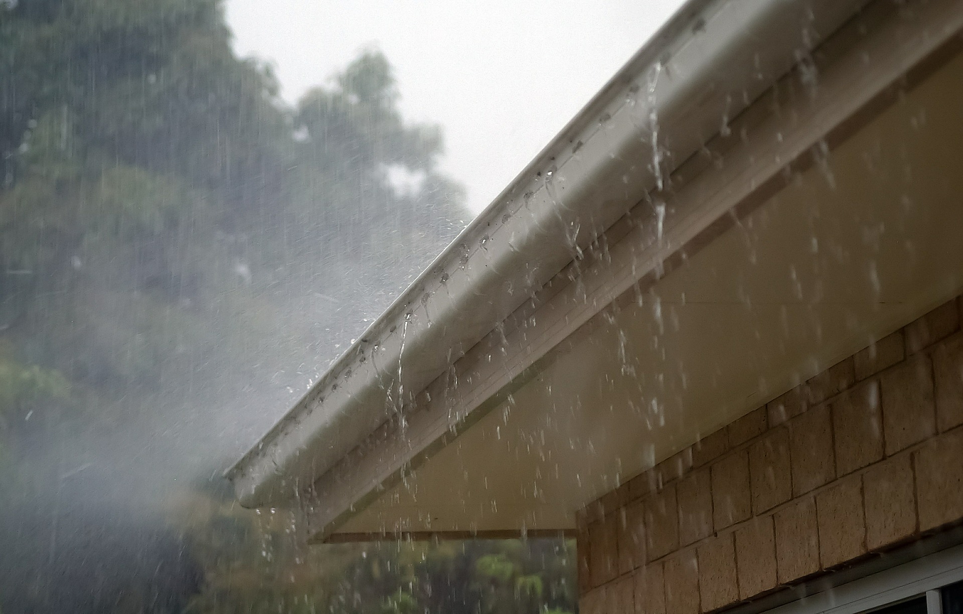 rain gutter on house