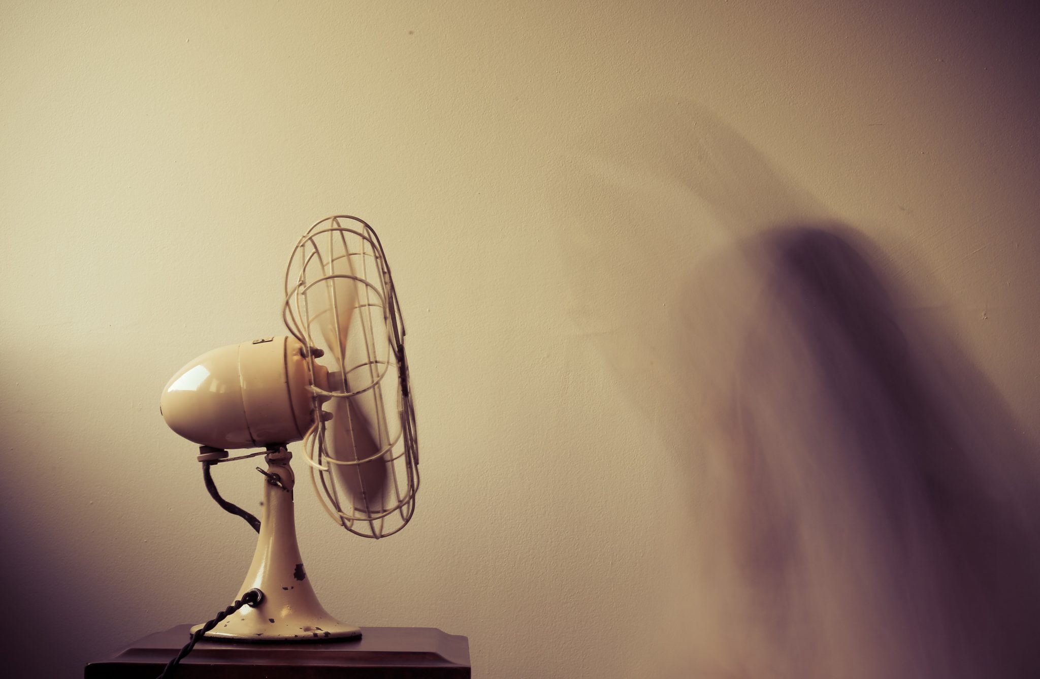 fan