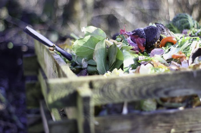 garden compost