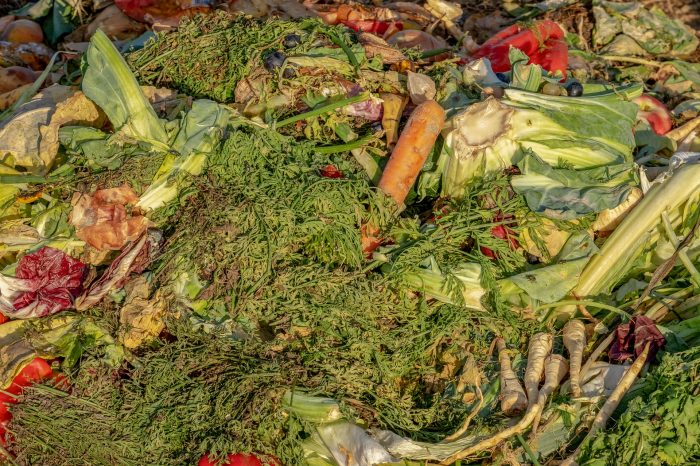 compost pile
