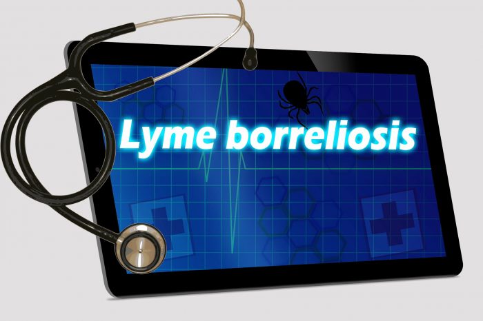 Lyme Disease sign