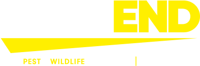 Pest-End